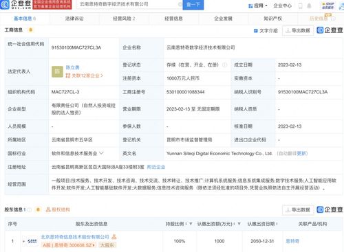 基礎軟件服務 數字化轉型的堅實基石