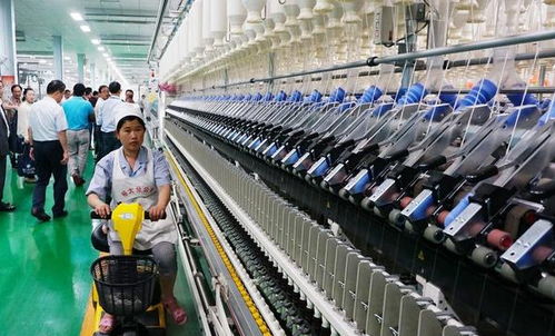 安徽省安慶市2020年9月第一周輕工紡織食品項目匯總與服務解析